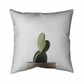 Fondo 26 x 26 in. Potted Cactus-Double Sided Print Indoor Pillow FO2793279